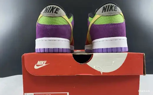 Low Viotech Dunk CT5050-500 (2019) Nike 0530